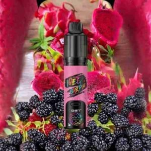 IGET Bar Plus V4 - Blackberry Tropical