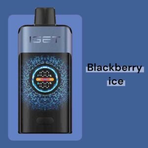 IGET One - Blackberry Ice
